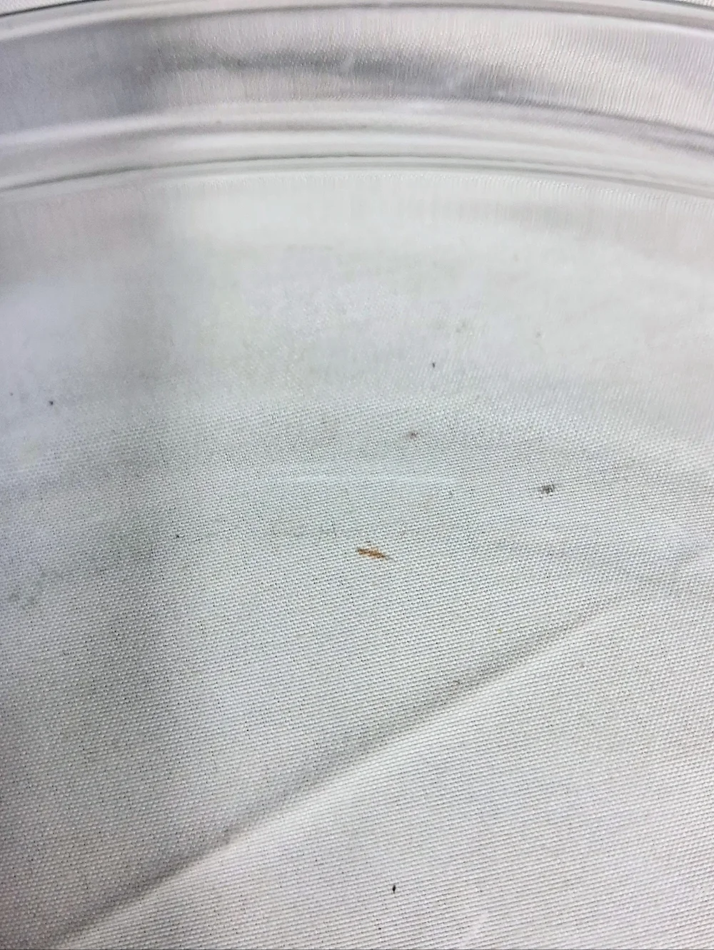 Pyrex inch round